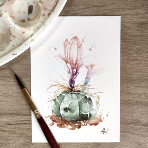 Postal con impresión de ilustración en acuarela de cactus redondo en flor por Azahar Giner