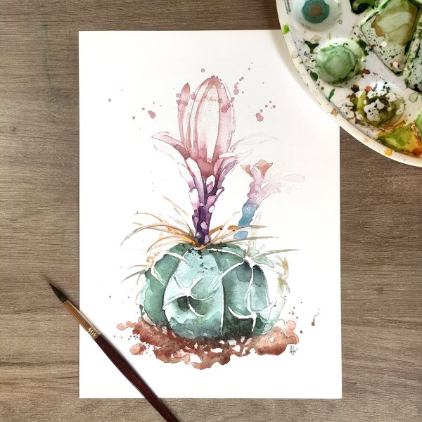 Lámina con reproducción de cactus redondo flor#2 en acuarela por Azahar Giner