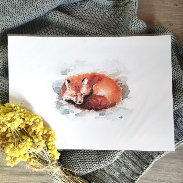 Lámina con impresión de ilustración en acuarela de zorro en la nieve dormido por Azahar Giner