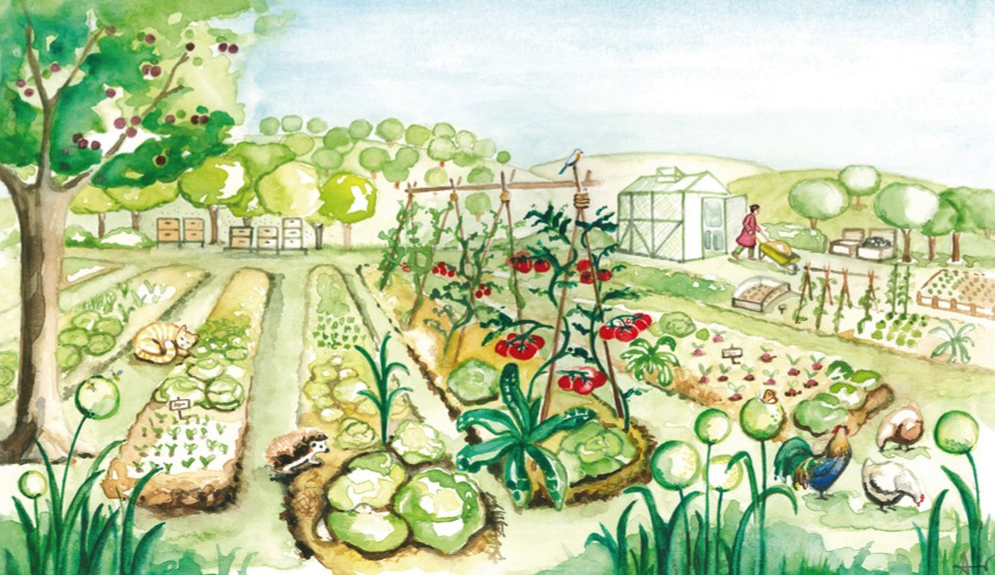 Ilustración del libro ilustrado La vida del huerto ecológico por Azahar Giner y publicado por la editorial La fertilidad de la tierra.